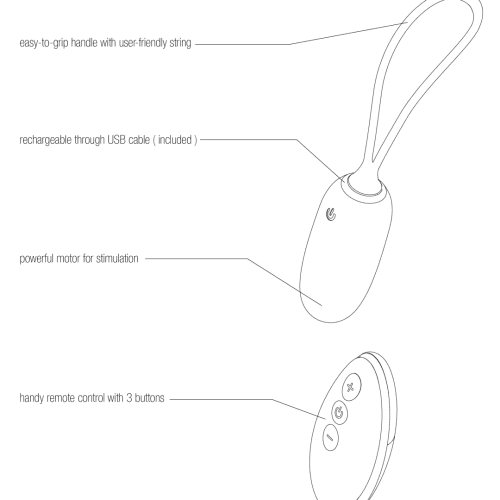 Line drawing with description kiwi 1