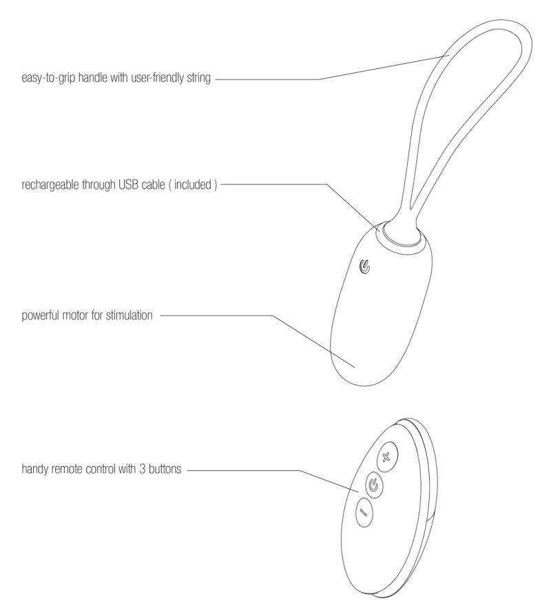 Line drawing with description kiwi 1